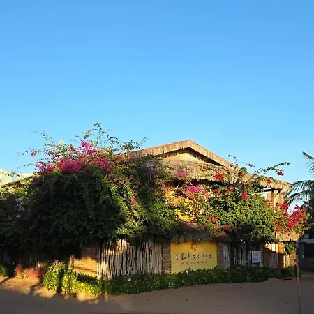 Pousada Ibiscus-2