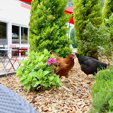 Ibis Quimper-2