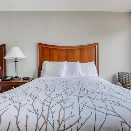 Gardentree Hotels Memphis East Near I 40-3