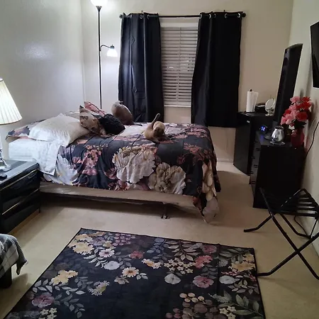 Catmosphere-2