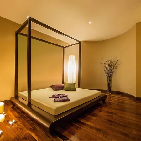 Melia Desert Palm Member Of Melia Collection-2