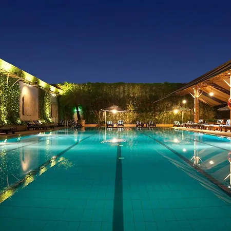 Holiday Inn Singapore Orchard City Centre By Ihg-2