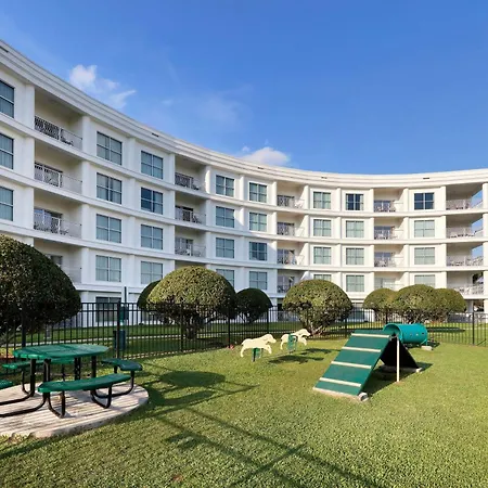 Melia Orlando Celebration-3