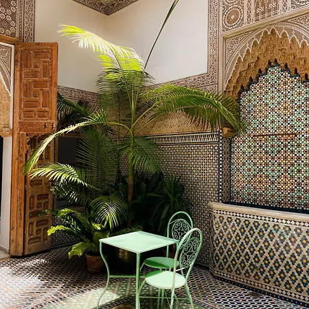 Riad Zyo-2