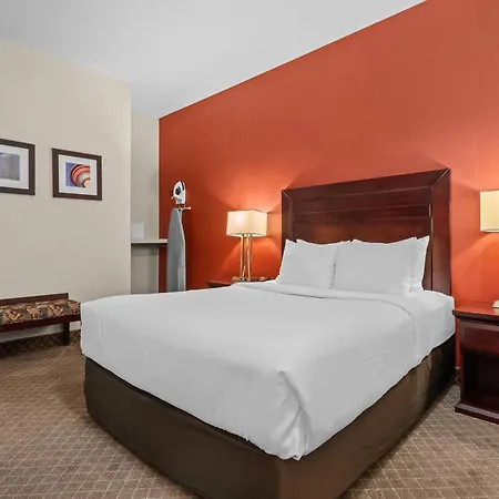 Comfort Inn & Suites Airport South-3