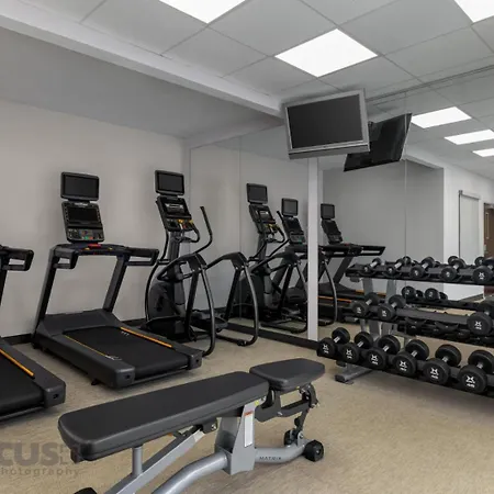 Springhill Suites By Marriott - Tampa Brandon-2