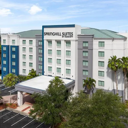 Springhill Suites By Marriott - Tampa Brandon-3