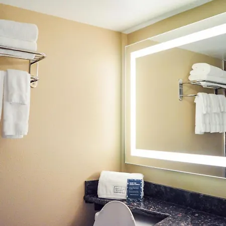 Radisson Hotel Orlando Lake Buena Vista South-2
