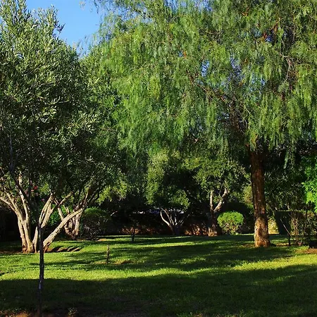 Essaouira Lodge-2
