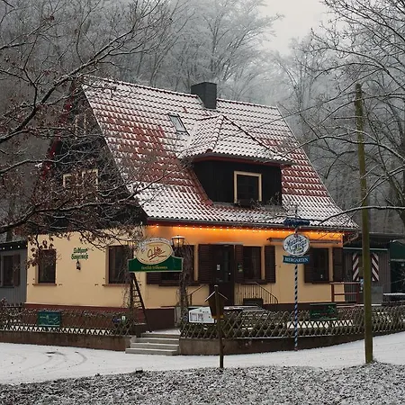 Sängerwiese-3