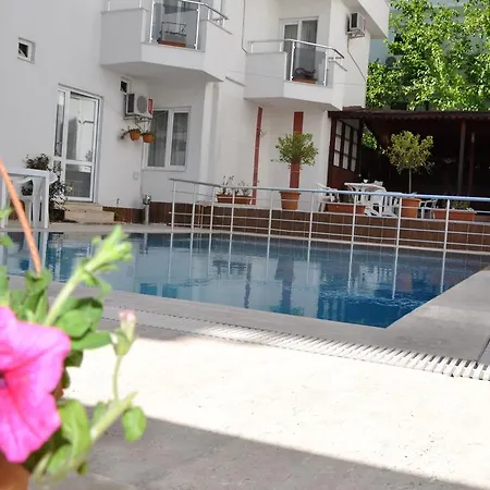Movie Life Roe Hotel-2