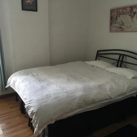 Avenues Hostel-3