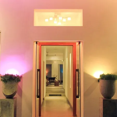 Allspice Villa-2