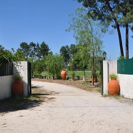 The Camp-3