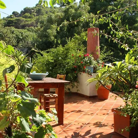 Casa Terranova-2