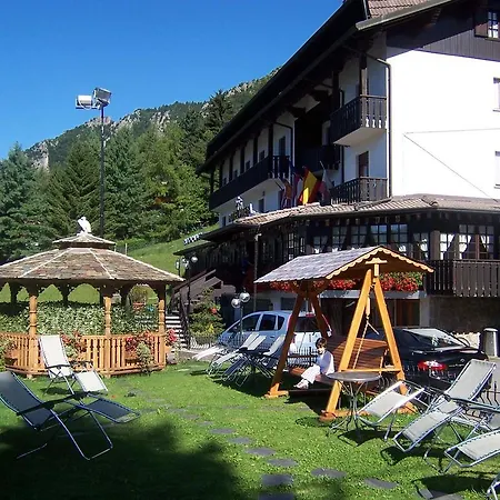 Hotel Pineta-3