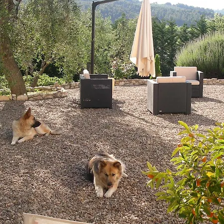 Poggio di Luna Adults Only-3