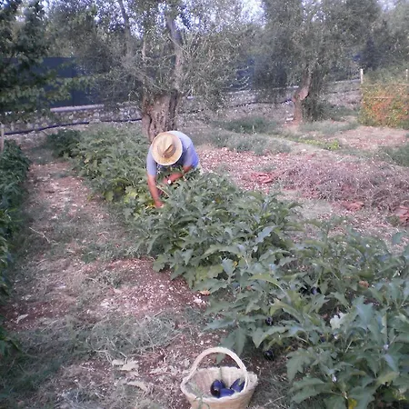 Poggio di Luna Adults Only-2
