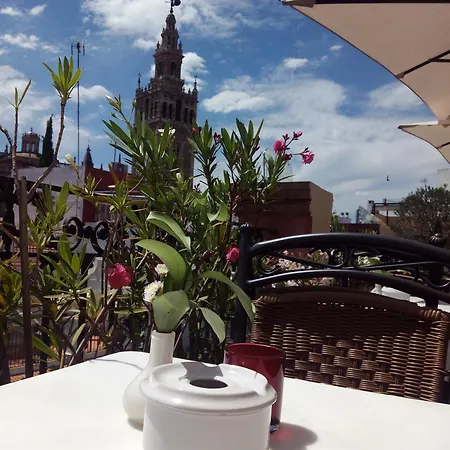 Hotel Palacio Alcazar-2