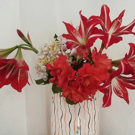 La Fusarella Villa Santoro-3