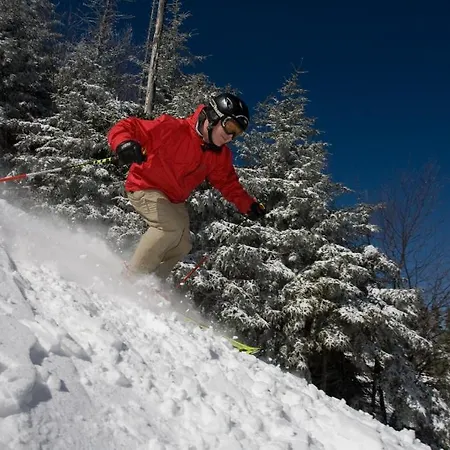 Mountain Lodge-2