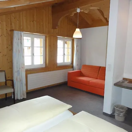 Hotel Steinbock Grindelwald-2