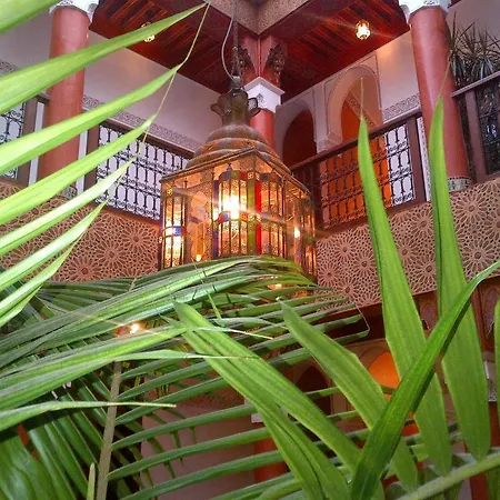 Riad Lila-2