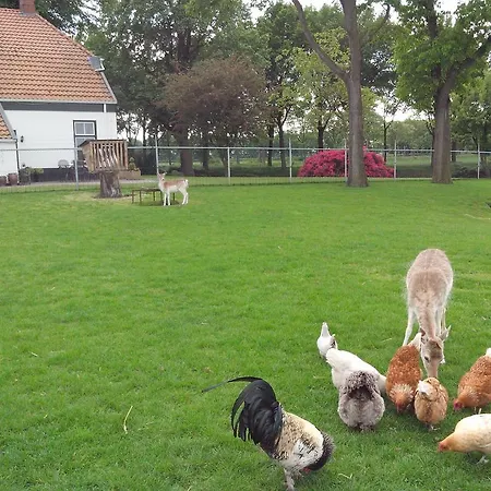 bed en breakfast westerwolde-3