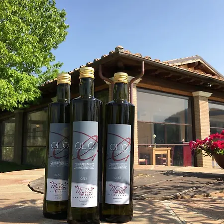 Agriturismo Mulin di mezzo-3