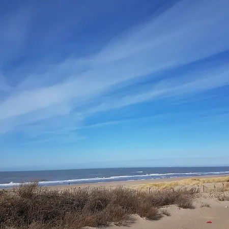 B&B Beach Inn-3