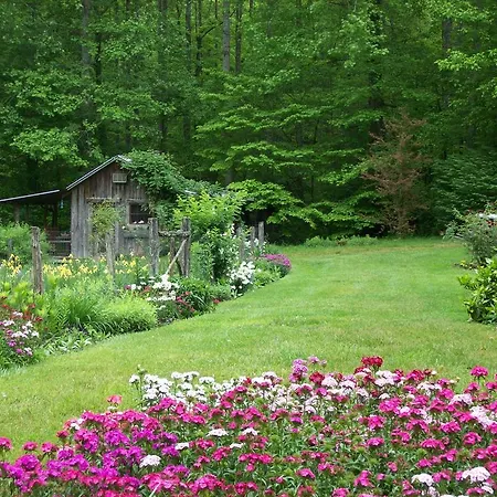 Garden Of Eden Cabins-3