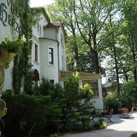 Hotel Villa Herzog-3