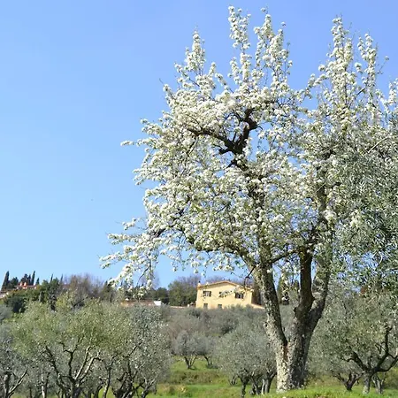 Agriturismo La Corte-2
