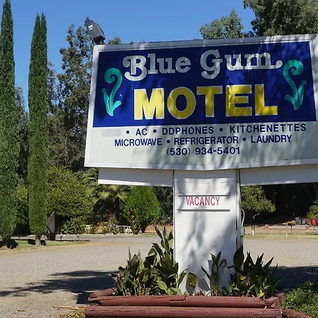 Blue Gum Motel-3
