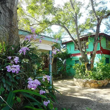 Banana Shout Resort-3