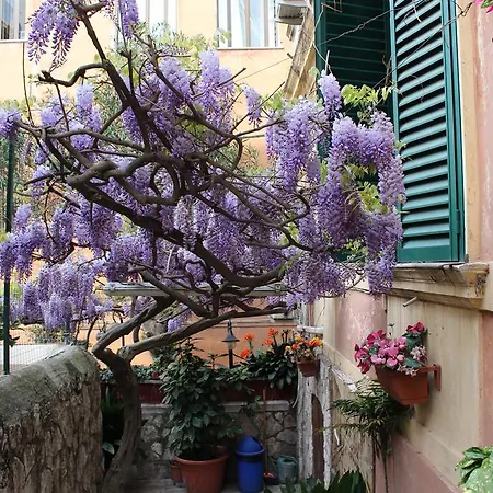 Hotel Pavia-3