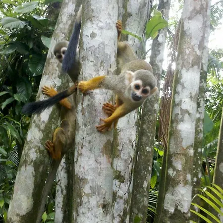 Parque Dos Igarapes-3