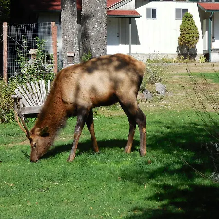 Mountain View Lodge-3