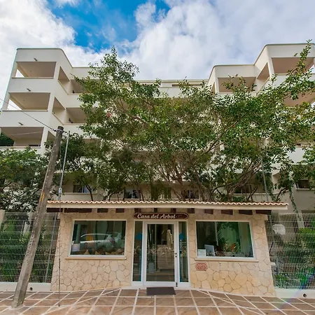 Condo Casa del Arbol-2