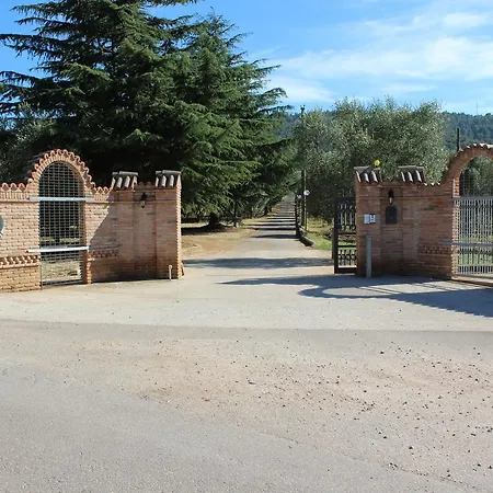 Citrigni-2