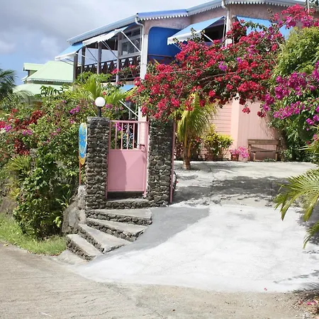 Bel Z 'Iguane-3