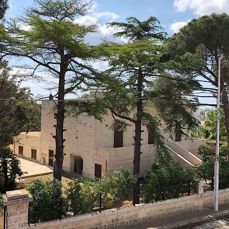 B. & B. Lu Turnitu-2