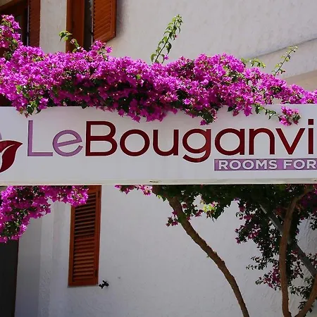 Le Bouganville-2