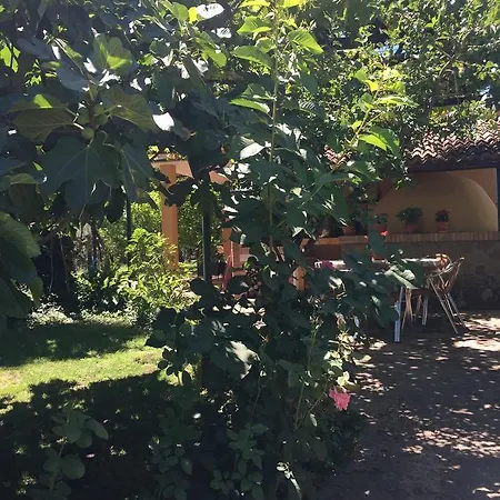Las Olivas-2