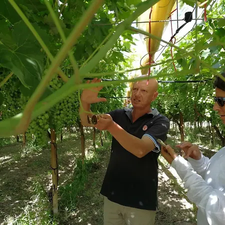 Masseria Marico-3