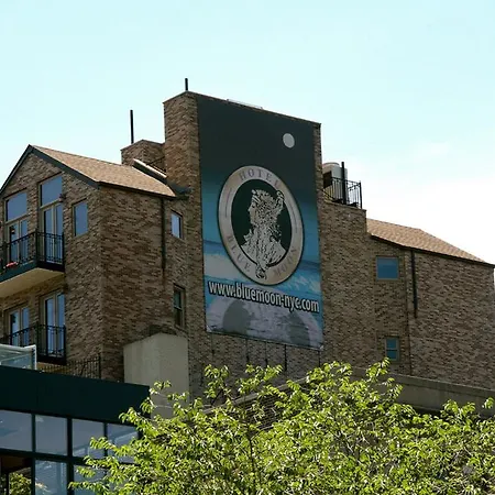 The Historic Blue Moon Hotel - Nyc-2