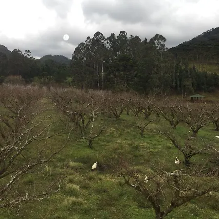 Pousada Sabor da Roça-3