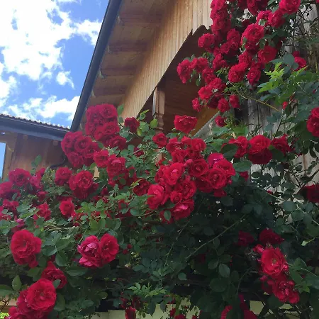 B&B Ciasa Bruescia-2