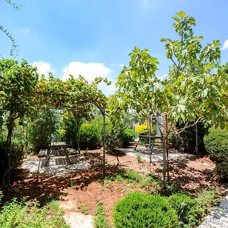 Tur Sinai Organic Farm Resort-2