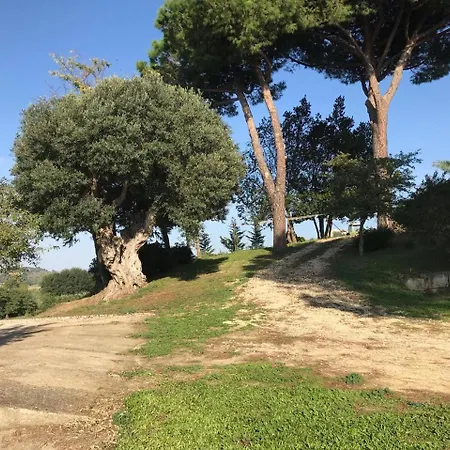Agriturismo Il Poderino-2